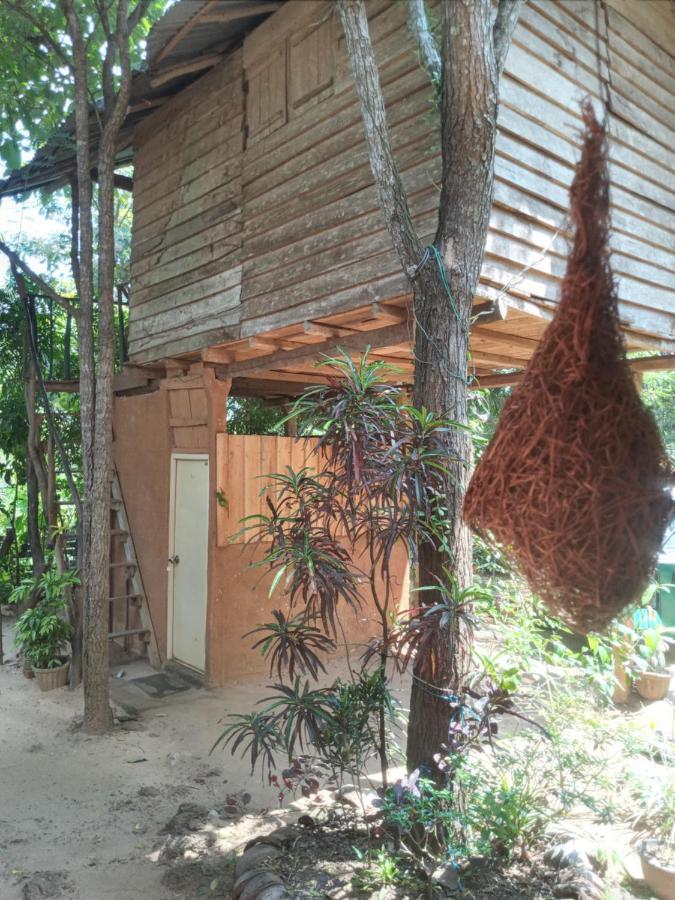 Angry Birds Tree House Διαμέρισμα Habarana Εξωτερικό φωτογραφία