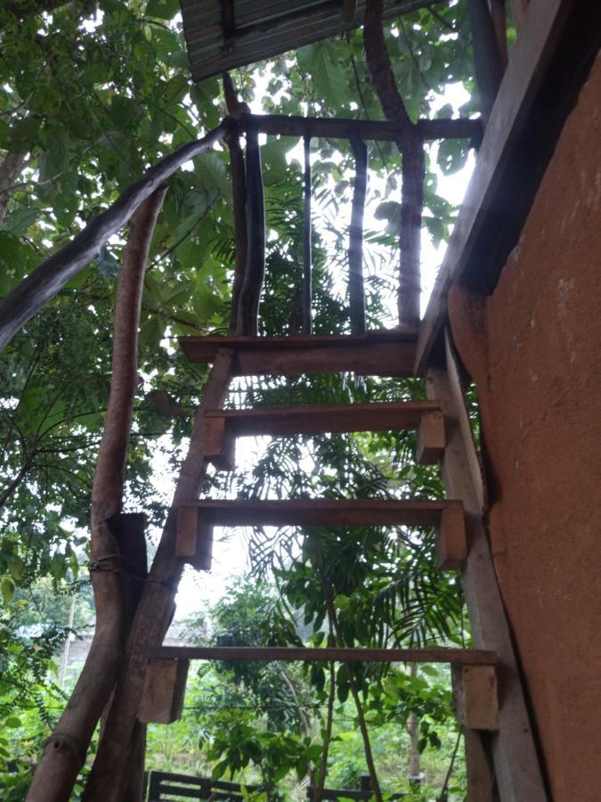 Angry Birds Tree House Διαμέρισμα Habarana Εξωτερικό φωτογραφία