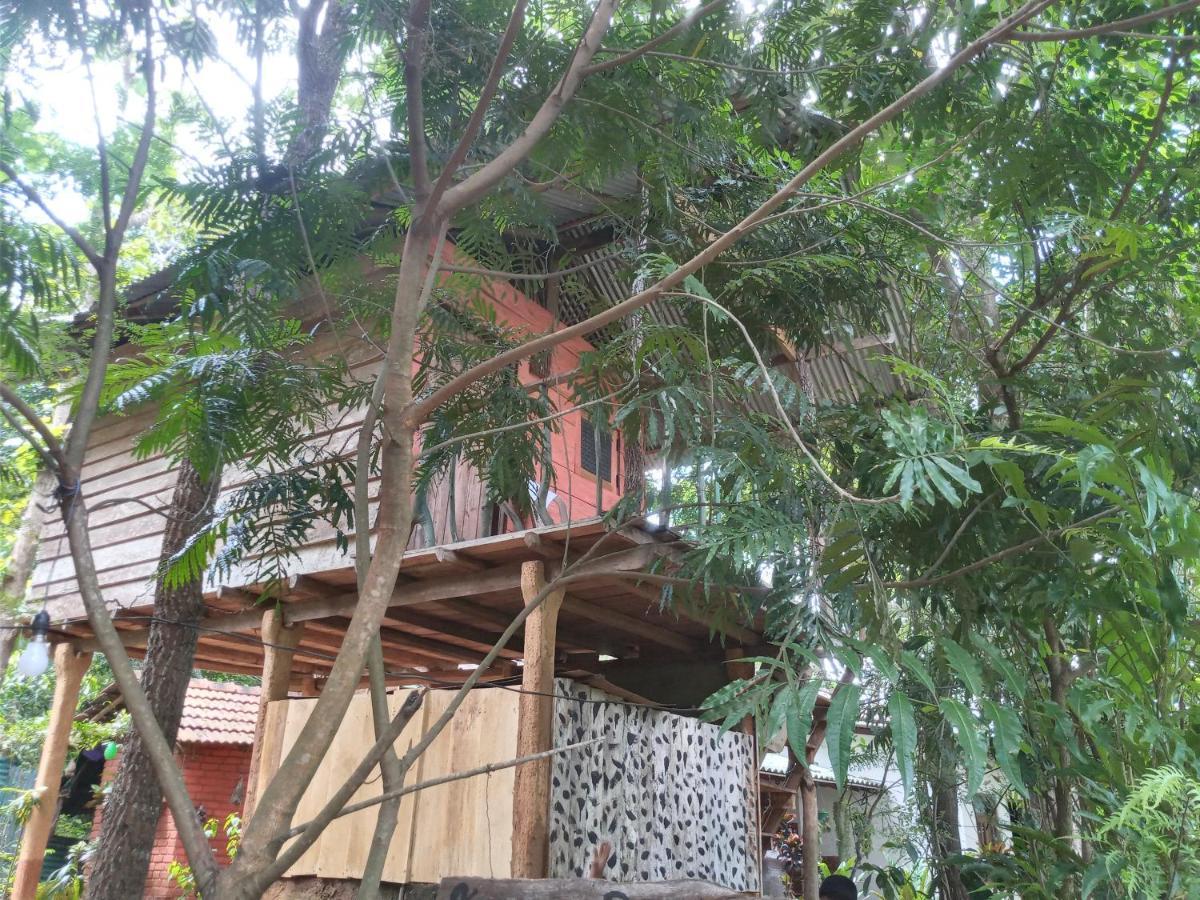 Angry Birds Tree House Διαμέρισμα Habarana Εξωτερικό φωτογραφία