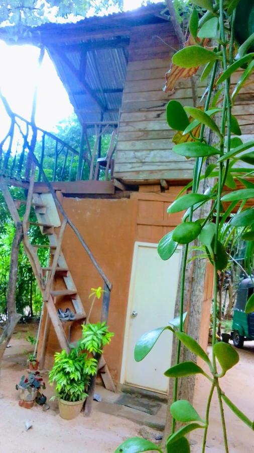 Angry Birds Tree House Διαμέρισμα Habarana Εξωτερικό φωτογραφία