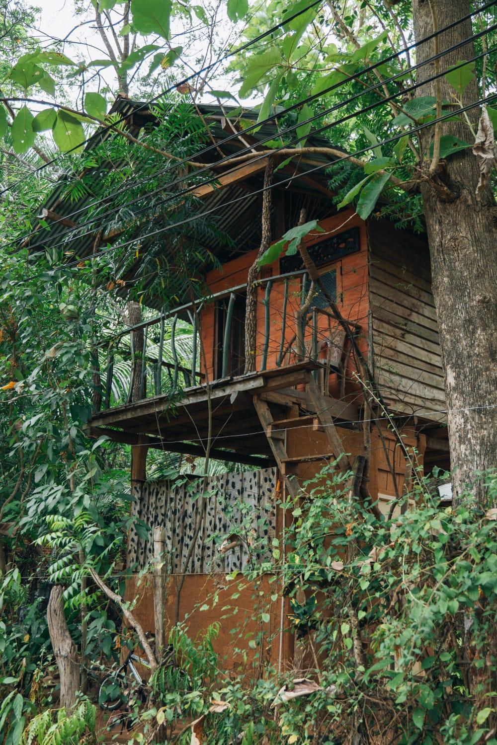 Angry Birds Tree House Διαμέρισμα Habarana Εξωτερικό φωτογραφία