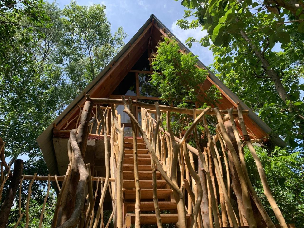 Angry Birds Tree House Διαμέρισμα Habarana Δωμάτιο φωτογραφία