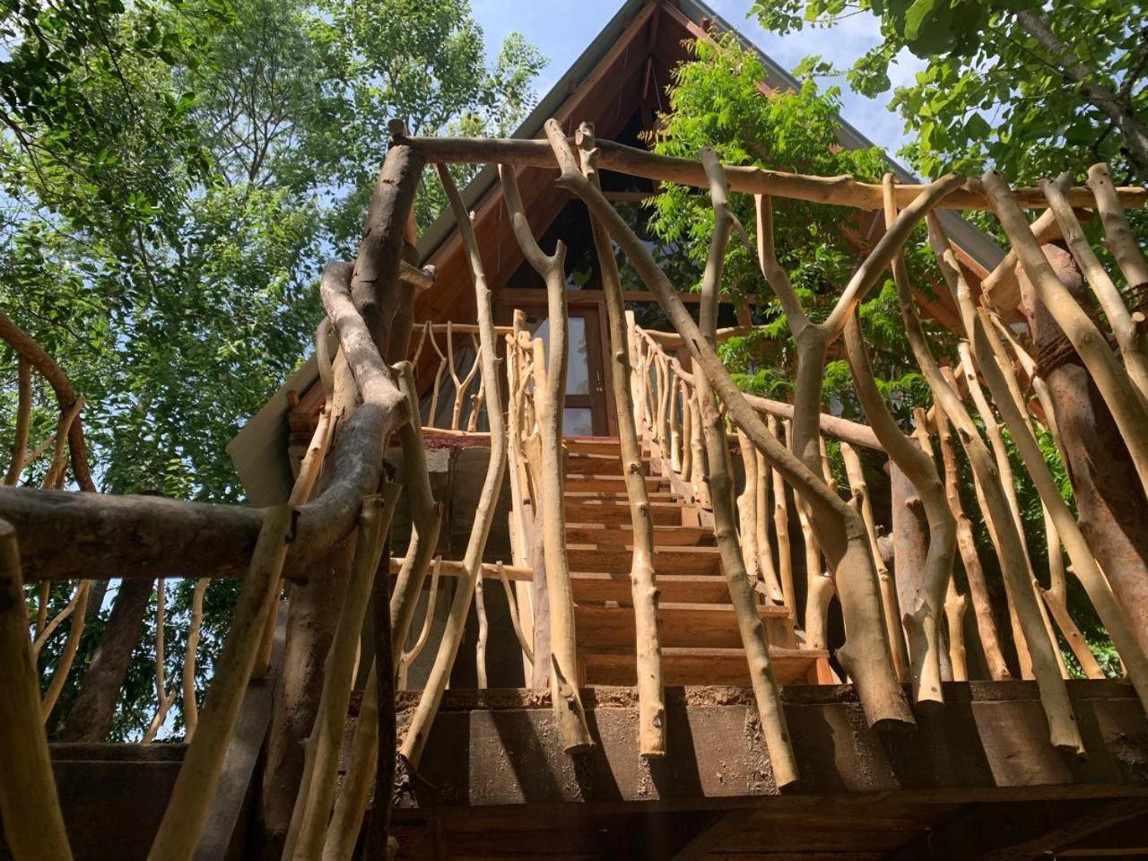 Angry Birds Tree House Διαμέρισμα Habarana Εξωτερικό φωτογραφία