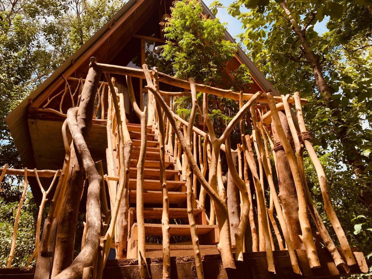 Angry Birds Tree House Διαμέρισμα Habarana Εξωτερικό φωτογραφία