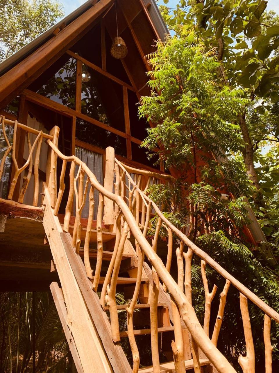 Angry Birds Tree House Διαμέρισμα Habarana Εξωτερικό φωτογραφία