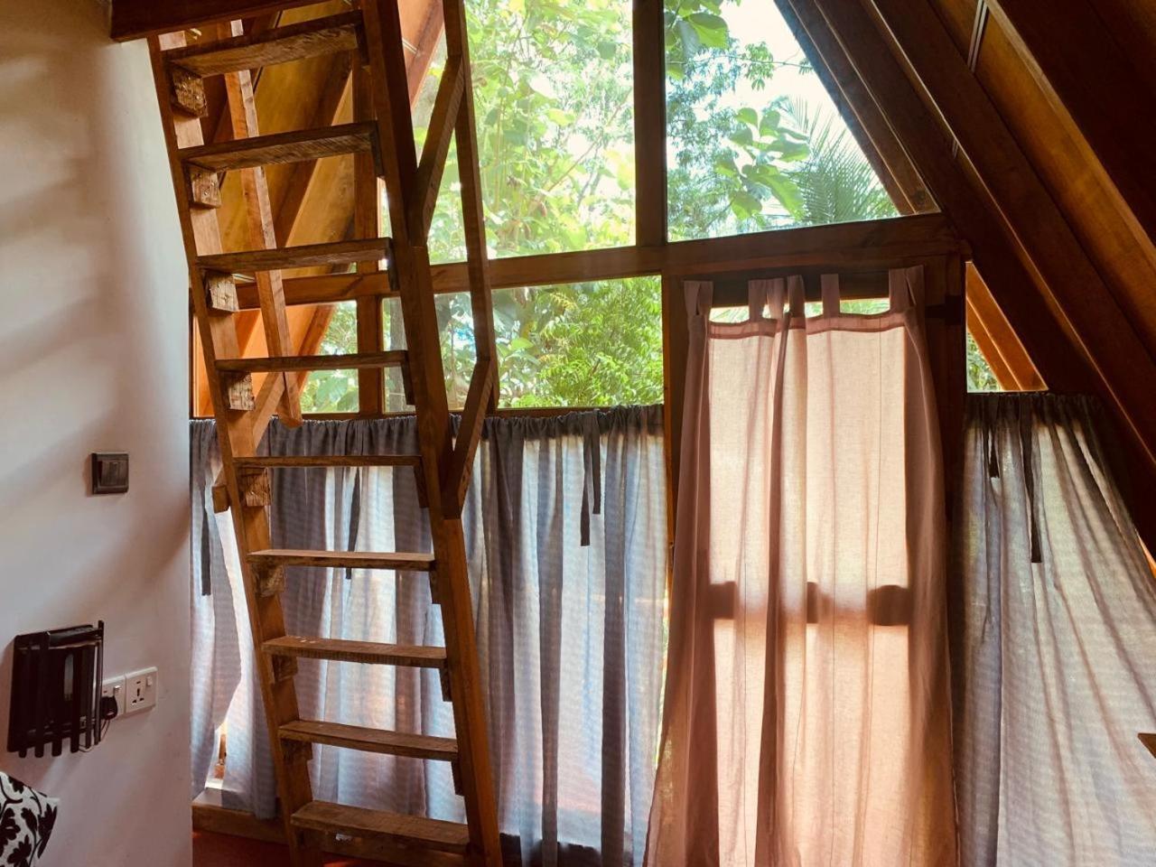 Angry Birds Tree House Διαμέρισμα Habarana Εξωτερικό φωτογραφία