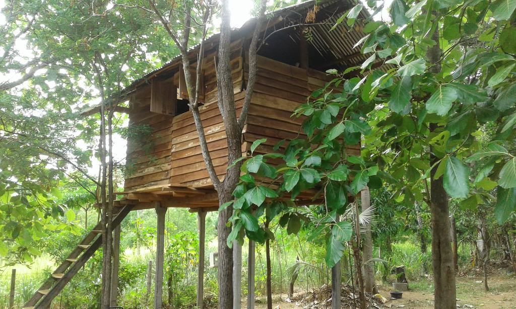 Angry Birds Tree House Διαμέρισμα Habarana Εξωτερικό φωτογραφία