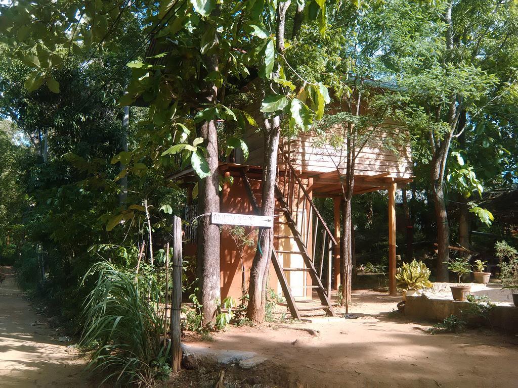 Angry Birds Tree House Διαμέρισμα Habarana Εξωτερικό φωτογραφία