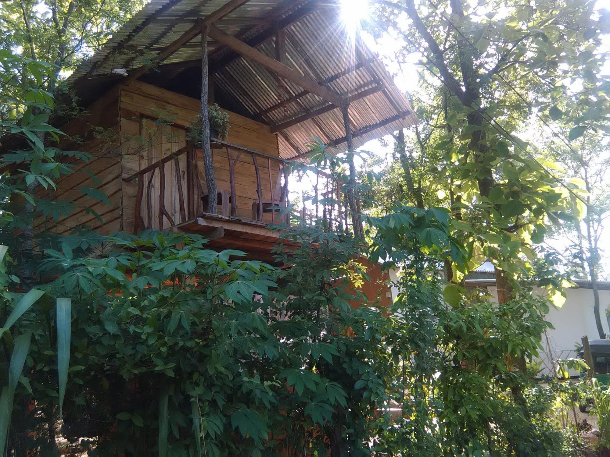 Angry Birds Tree House Διαμέρισμα Habarana Εξωτερικό φωτογραφία