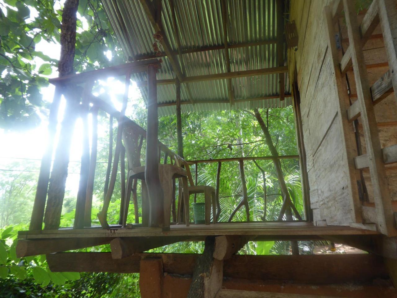 Angry Birds Tree House Διαμέρισμα Habarana Εξωτερικό φωτογραφία