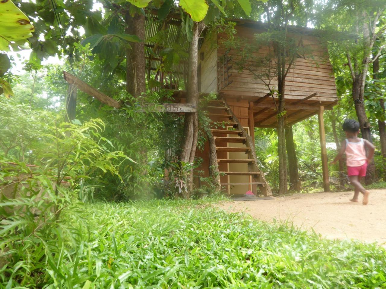 Angry Birds Tree House Διαμέρισμα Habarana Εξωτερικό φωτογραφία