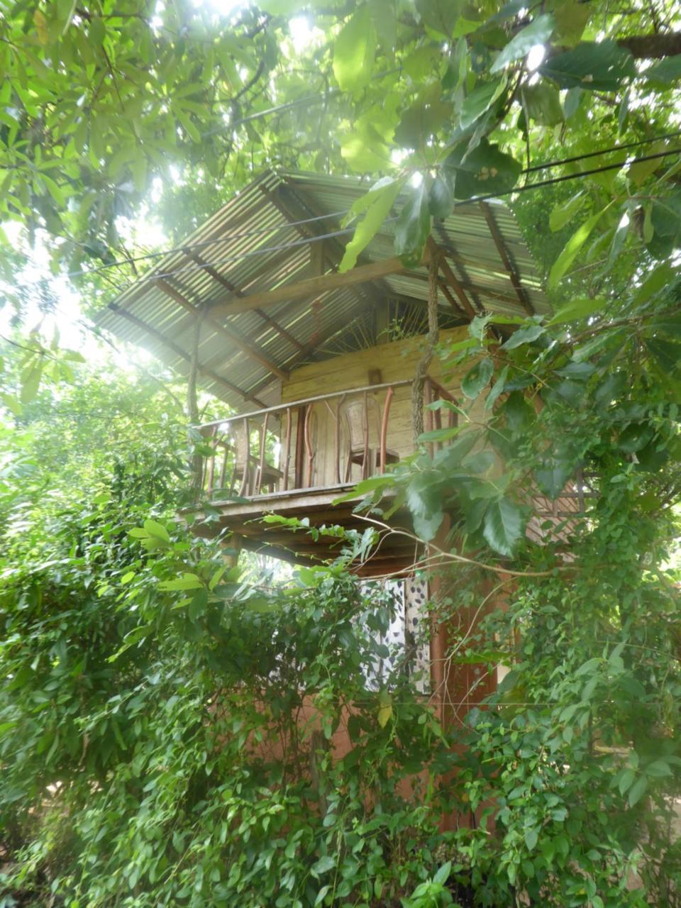 Angry Birds Tree House Διαμέρισμα Habarana Εξωτερικό φωτογραφία