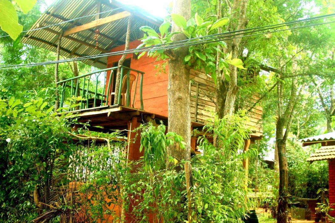 Angry Birds Tree House Διαμέρισμα Habarana Εξωτερικό φωτογραφία